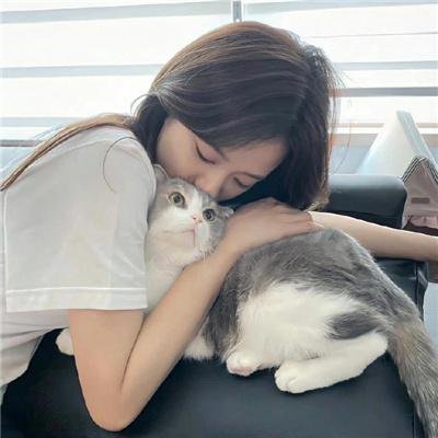 李佩西与五大王国的守护者