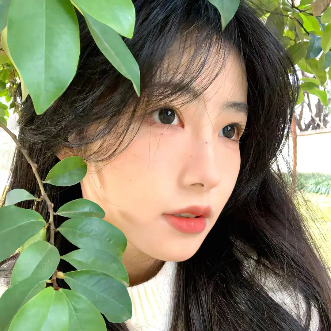 兔头男复仇记